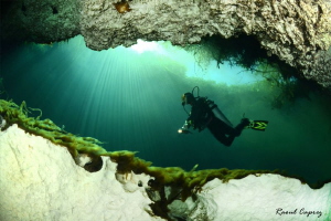 Casa Cenote by Raoul Caprez 